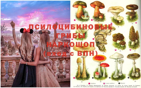шишки Верхнеуральск