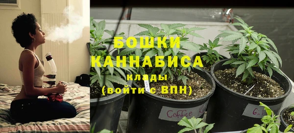 шишки Верхнеуральск