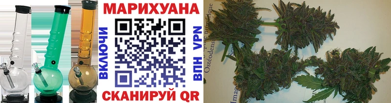 Шишки марихуана Amnesia  Высоцк 